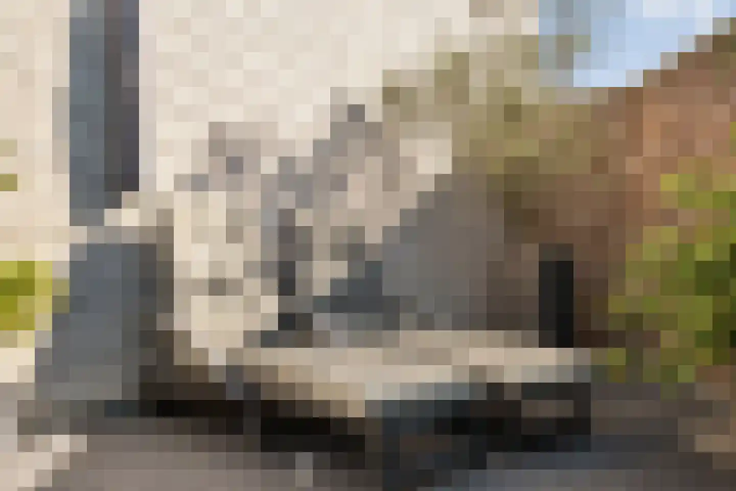 Burg.Backxlaan 36 V Nieuwleusen thumbnail 45