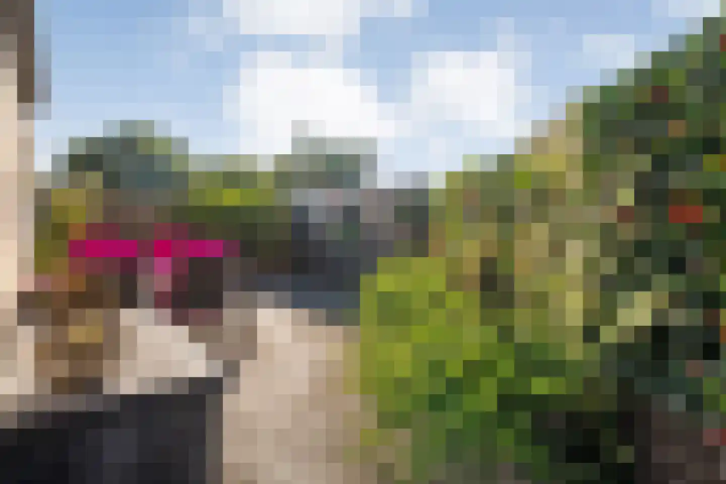 Burg.Backxlaan 36 V Nieuwleusen thumbnail 46