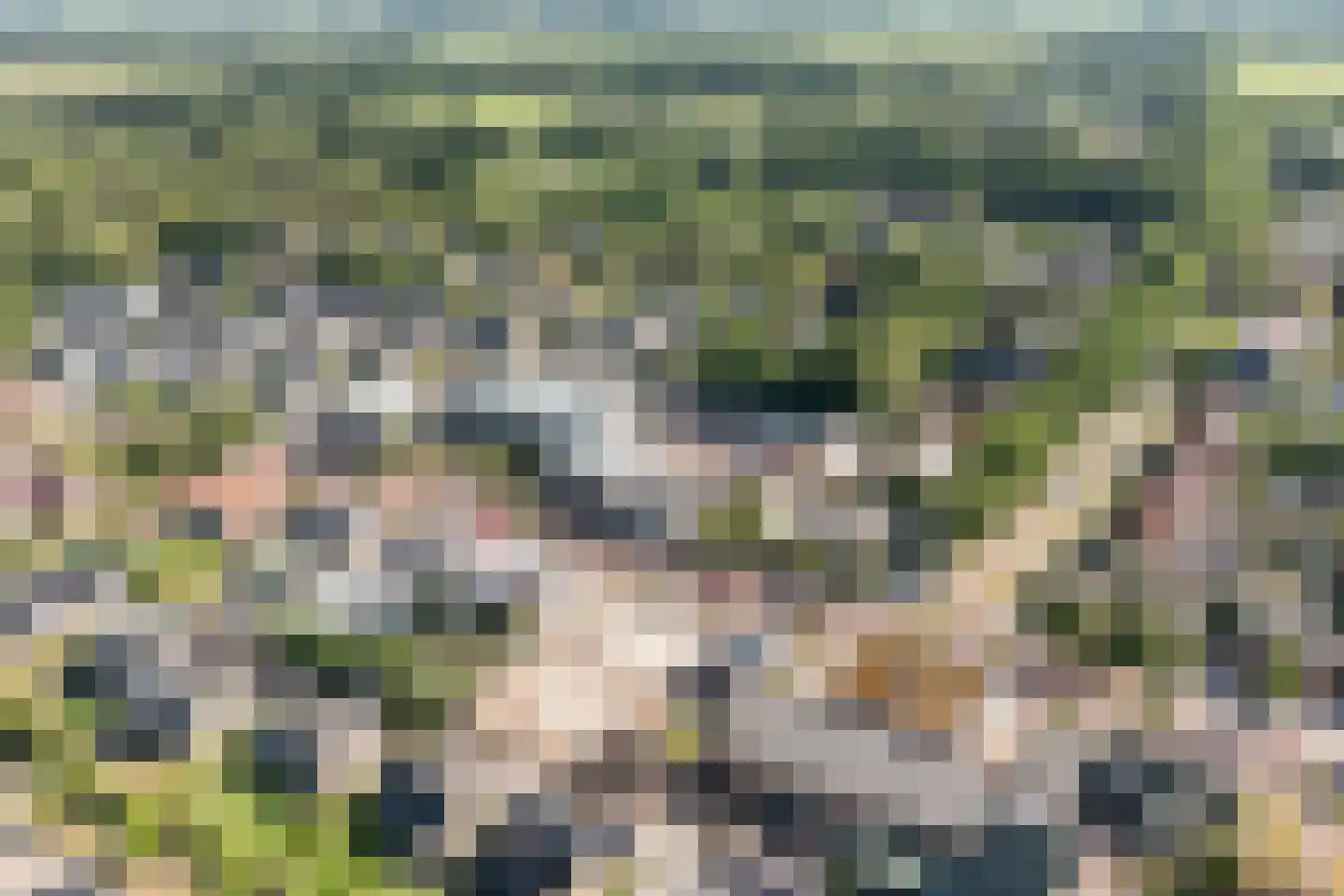 Burg.Backxlaan 36 V Nieuwleusen thumbnail 5