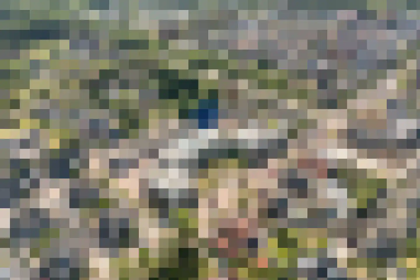 Burg.Backxlaan 36 V Nieuwleusen thumbnail 6