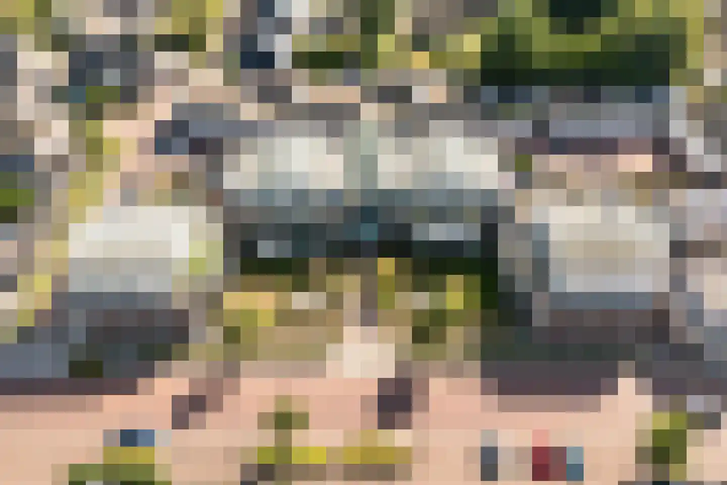Burg.Backxlaan 36 V Nieuwleusen thumbnail 8
