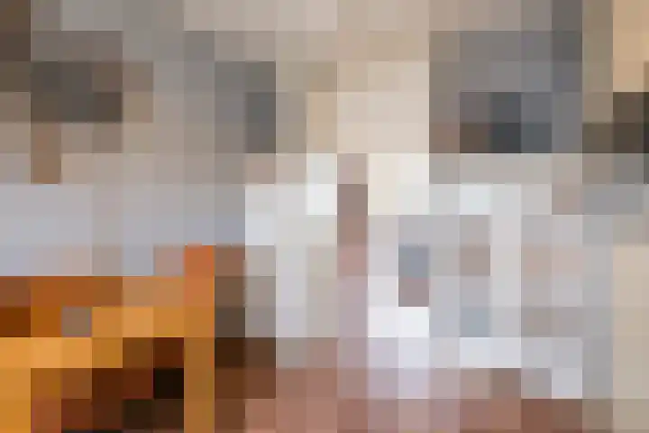 Burg.Backxlaan 36 W Nieuwleusen thumbnail 14