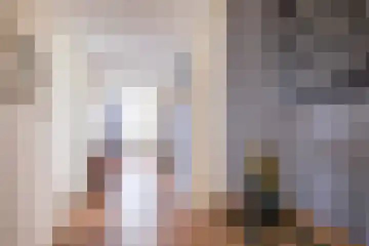 Burg.Backxlaan 36 W Nieuwleusen thumbnail 15