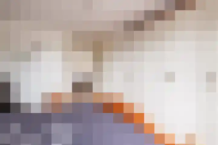 Burg.Backxlaan 36 W Nieuwleusen thumbnail 19
