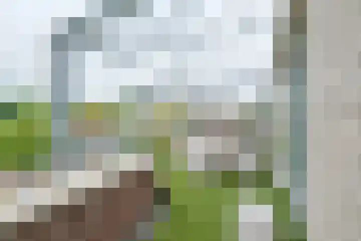 Burg.Backxlaan 36 W Nieuwleusen thumbnail 27