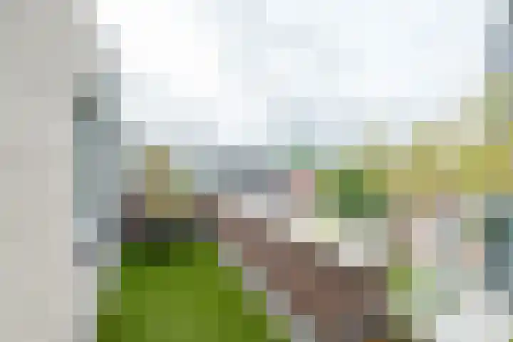 Burg.Backxlaan 36 W Nieuwleusen thumbnail 28