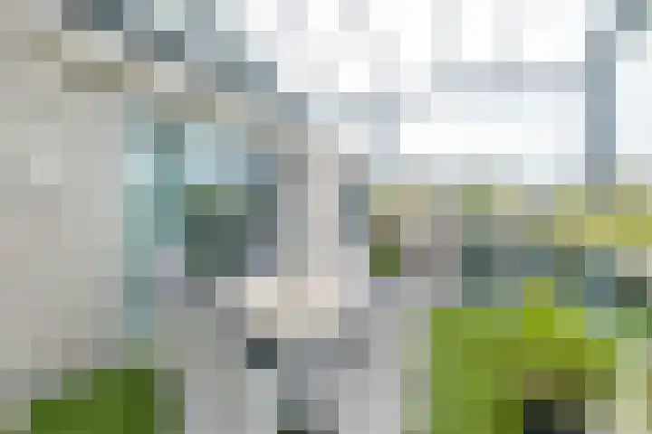 Burg.Backxlaan 36 W Nieuwleusen thumbnail 29