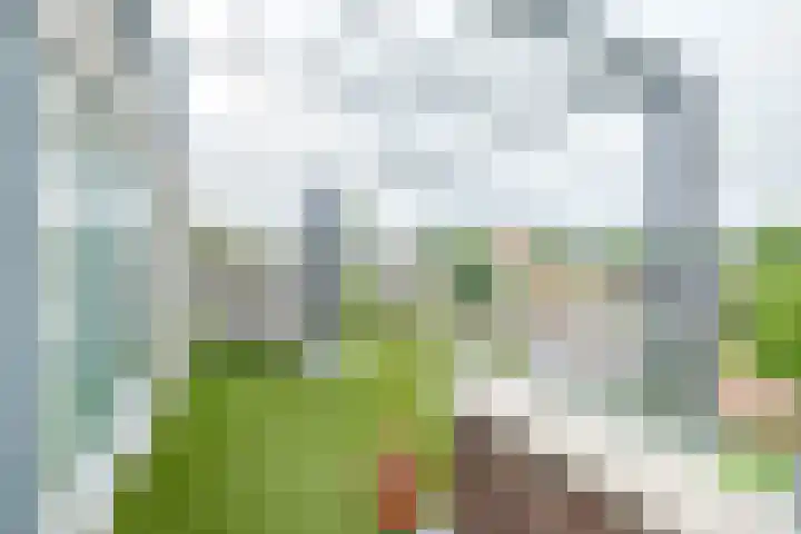 Burg.Backxlaan 36 W Nieuwleusen thumbnail 30