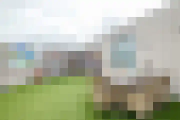 Burg.Backxlaan 36 W Nieuwleusen thumbnail 31