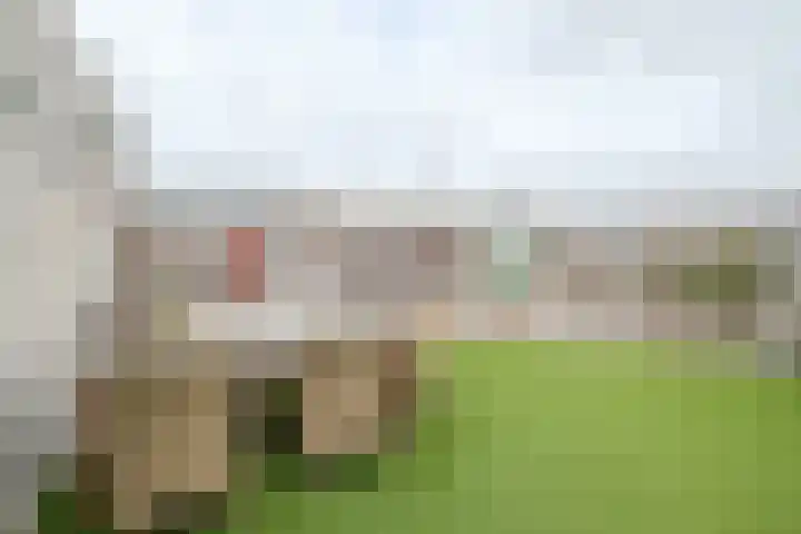 Burg.Backxlaan 36 W Nieuwleusen thumbnail 32
