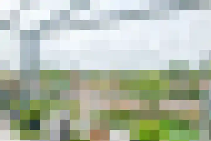 Burg.Backxlaan 36 W Nieuwleusen thumbnail 33