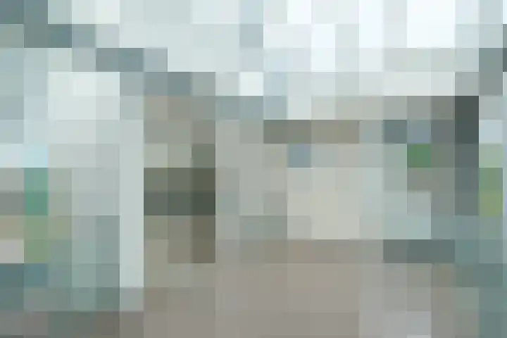 Burg.Backxlaan 36 W Nieuwleusen thumbnail 34