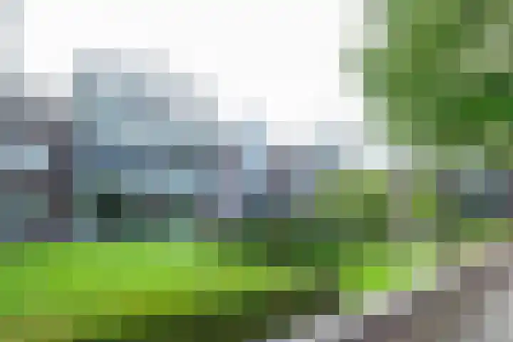 Burg.Backxlaan 36 W Nieuwleusen thumbnail 35