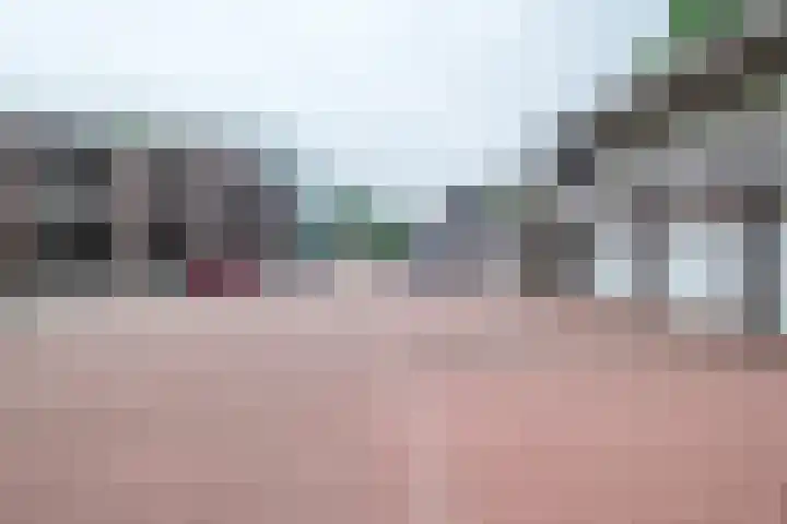 Burg.Backxlaan 36 W Nieuwleusen thumbnail 39
