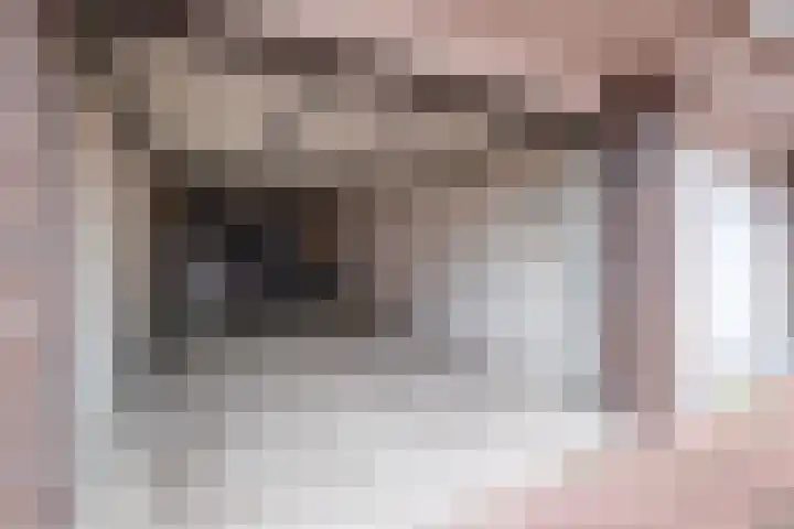 Burg.Backxlaan 36 W Nieuwleusen thumbnail 41