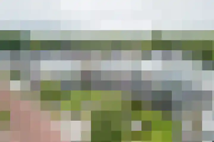 Burg.Backxlaan 36 W Nieuwleusen thumbnail 43