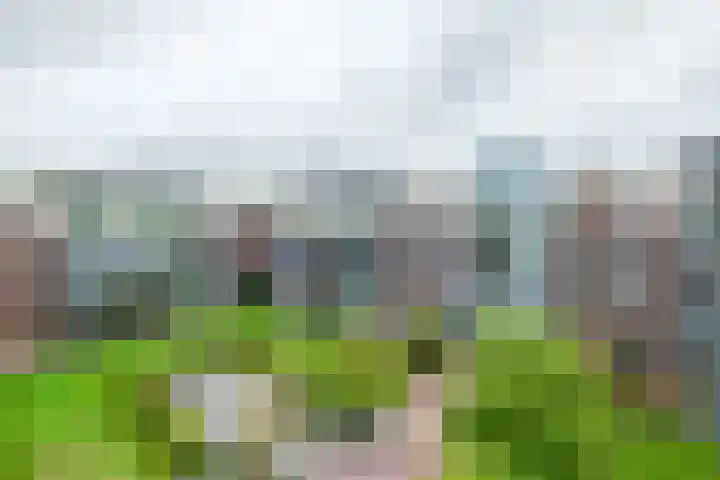 Burg.Backxlaan 36 W Nieuwleusen thumbnail 46