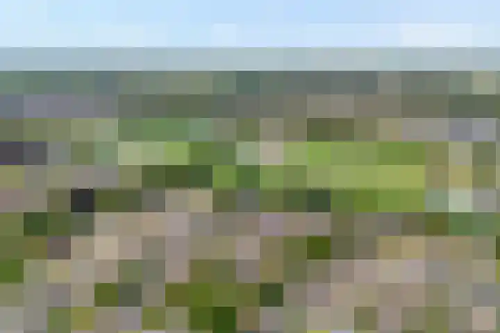Burg.Backxlaan 36 Z Nieuwleusen thumbnail 10