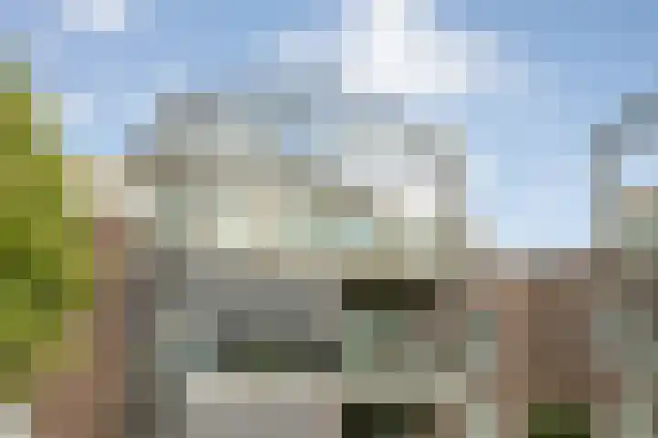 Burg.Backxlaan 36 Z Nieuwleusen thumbnail 11