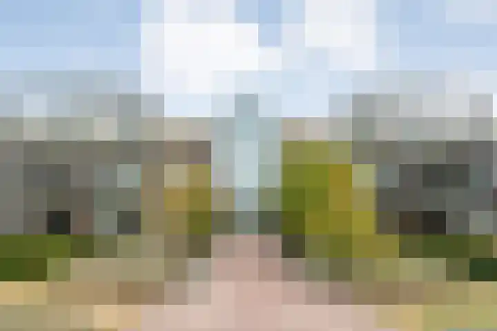 Burg.Backxlaan 36 Z Nieuwleusen thumbnail 12
