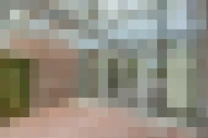 Burg.Backxlaan 36 Z Nieuwleusen thumbnail 13