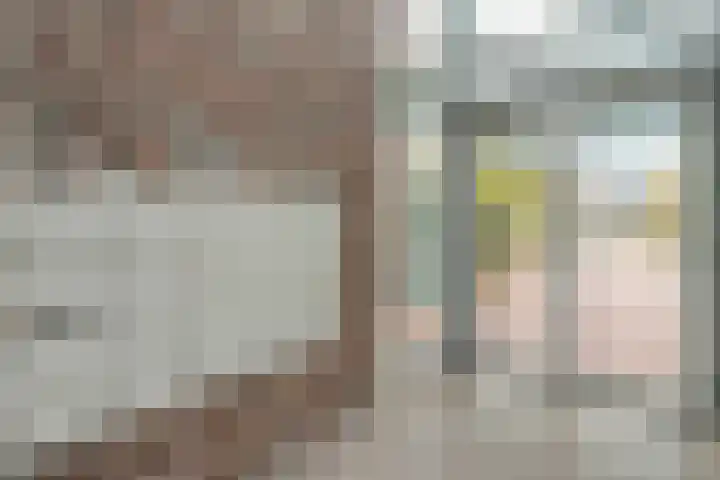 Burg.Backxlaan 36 Z Nieuwleusen thumbnail 14
