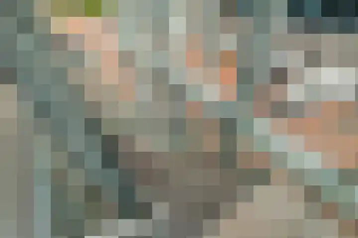 Burg.Backxlaan 36 Z Nieuwleusen thumbnail 15