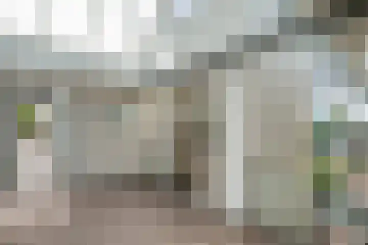 Burg.Backxlaan 36 Z Nieuwleusen thumbnail 16
