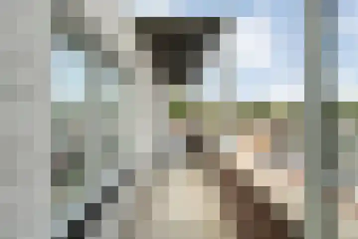 Burg.Backxlaan 36 Z Nieuwleusen thumbnail 18