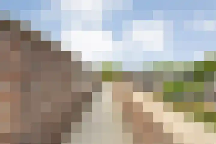 Burg.Backxlaan 36 Z Nieuwleusen thumbnail 19