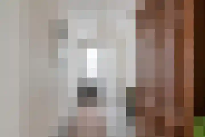 Burg.Backxlaan 36 Z Nieuwleusen thumbnail 22