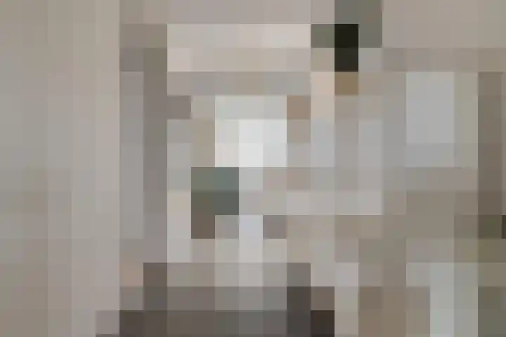 Burg.Backxlaan 36 Z Nieuwleusen thumbnail 23