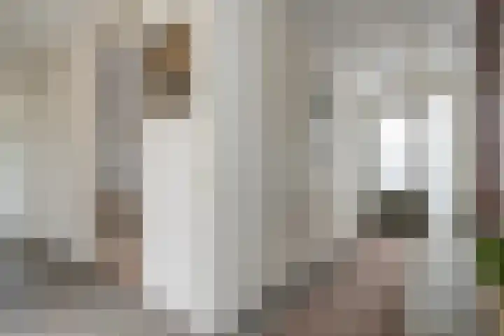 Burg.Backxlaan 36 Z Nieuwleusen thumbnail 25