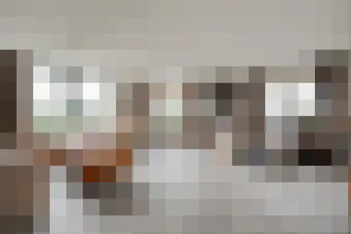 Burg.Backxlaan 36 Z Nieuwleusen thumbnail 26