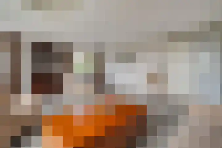 Burg.Backxlaan 36 Z Nieuwleusen thumbnail 30
