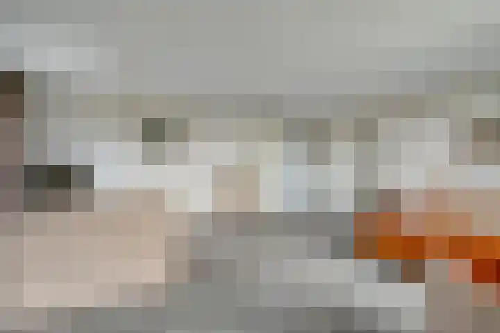 Burg.Backxlaan 36 Z Nieuwleusen thumbnail 31