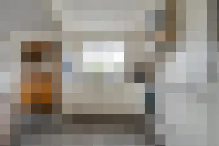 Burg.Backxlaan 36 Z Nieuwleusen thumbnail 32
