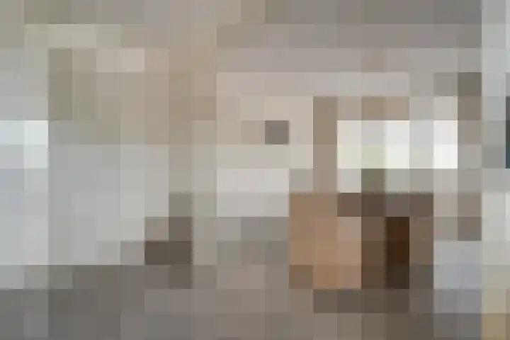 Burg.Backxlaan 36 Z Nieuwleusen thumbnail 35