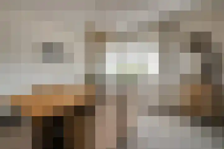 Burg.Backxlaan 36 Z Nieuwleusen thumbnail 36