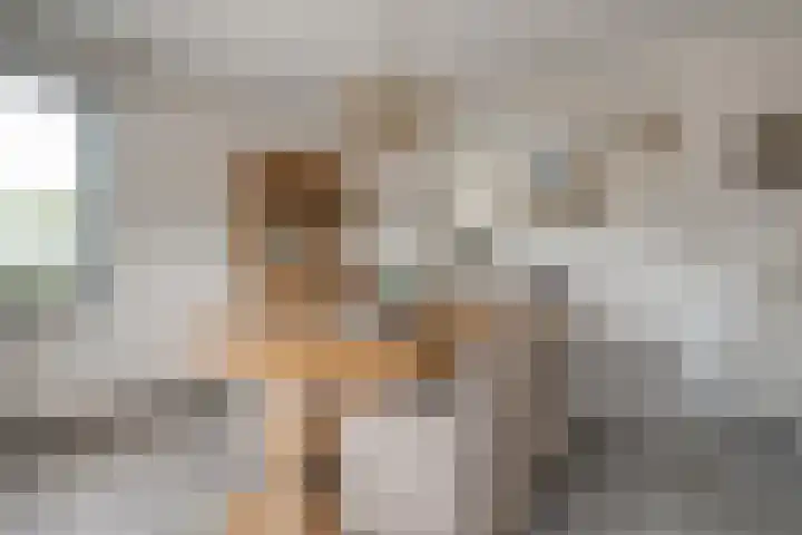 Burg.Backxlaan 36 Z Nieuwleusen thumbnail 37