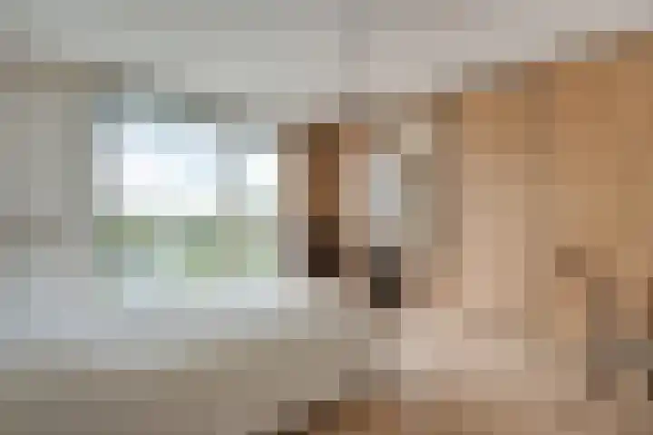 Burg.Backxlaan 36 Z Nieuwleusen thumbnail 38