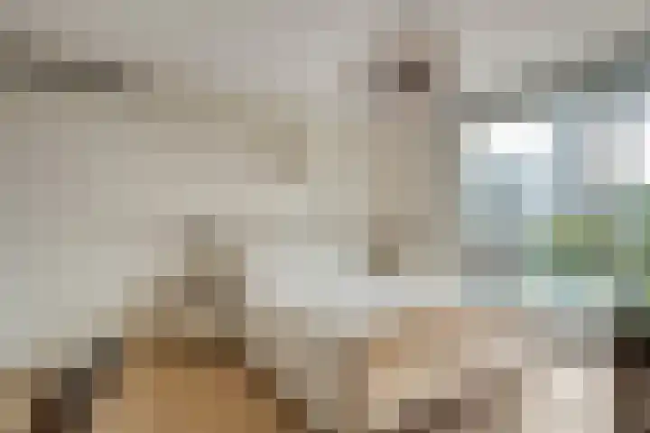 Burg.Backxlaan 36 Z Nieuwleusen thumbnail 39