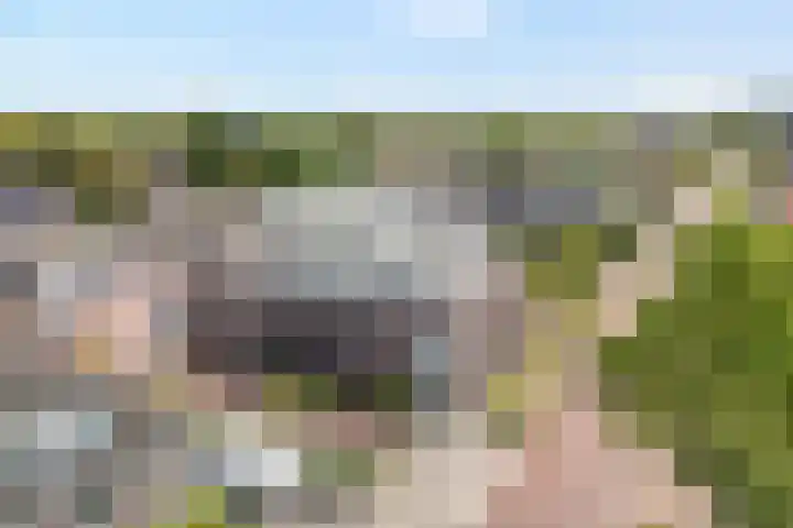 Burg.Backxlaan 36 Z Nieuwleusen thumbnail 4