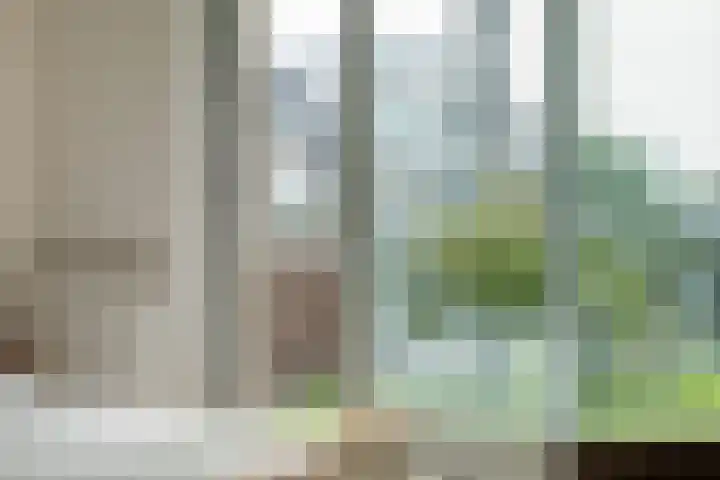 Burg.Backxlaan 36 Z Nieuwleusen thumbnail 40