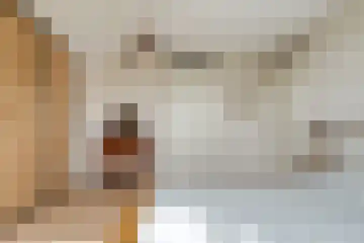 Burg.Backxlaan 36 Z Nieuwleusen thumbnail 41