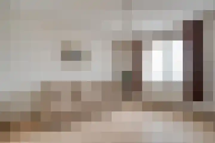 Burg.Backxlaan 36 Z Nieuwleusen thumbnail 42