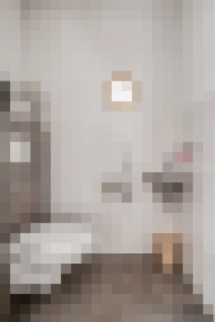 Burg.Backxlaan 36 Z Nieuwleusen thumbnail 44