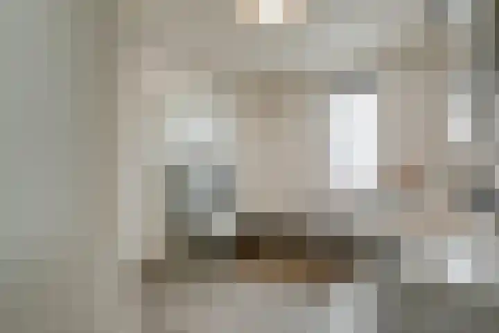Burg.Backxlaan 36 Z Nieuwleusen thumbnail 45