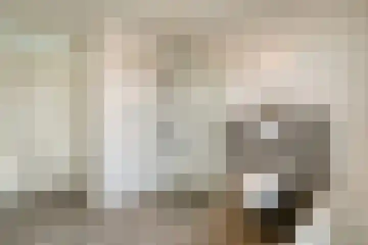 Burg.Backxlaan 36 Z Nieuwleusen thumbnail 46