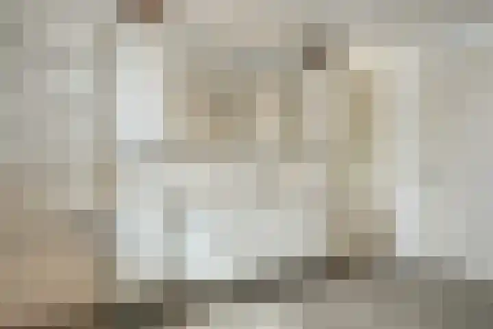 Burg.Backxlaan 36 Z Nieuwleusen thumbnail 47